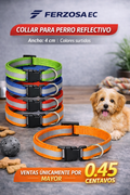 Collar para Perro Reflectivo 4cm al Por Mayor desde 0.45 para Bultos de 960 unidades